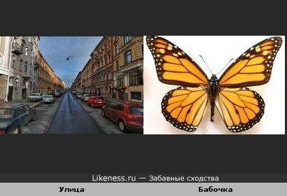Улица похожа на бабочку