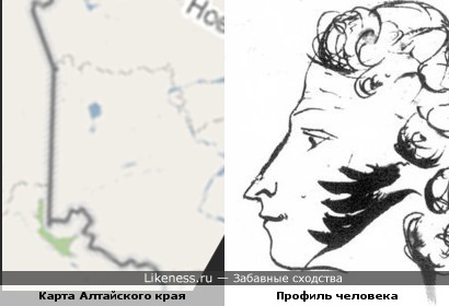 Карта Алтайского края похожа на профиль Пушкина