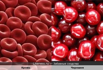 Клетки крови похожи на черешню