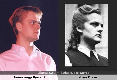 Александр Пушной похож на Ирму Грезе