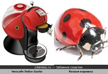 Кофемашина и насекомое