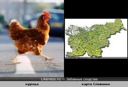 Карта Словении похожа на бегущую курицу