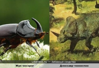 Жук-носорог похож на динозавра