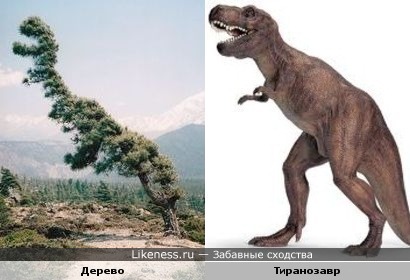 Дерево- тиранозавр