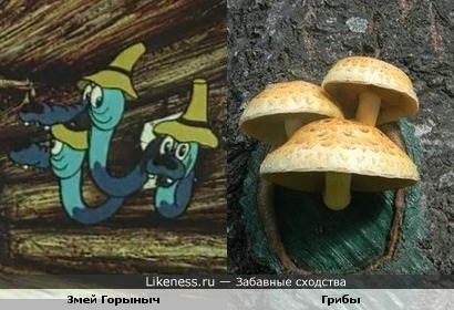 Горыныч и грибы