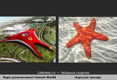 Парк развлечений Ferrari World и морская звезда