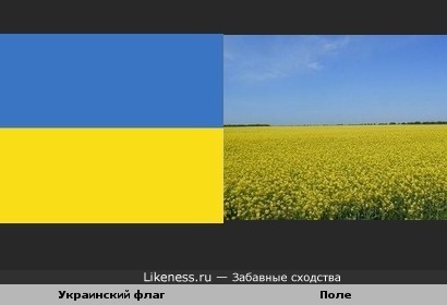 Украинский флаг и поле