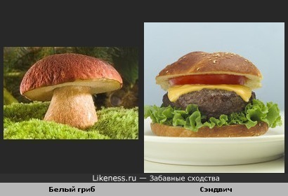 Белый гриб и сэндвич