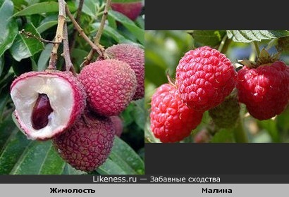 Экзотический фрукт ( личи ) и малина