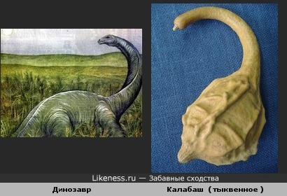 Динозавр и Калабаш ( тыквенное )