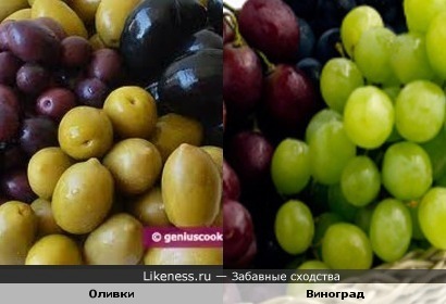 Оливки и Виноград