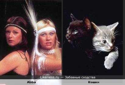 Abba и Кошки