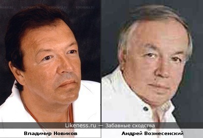 Владимир Новиков и Андрей Вознесенский