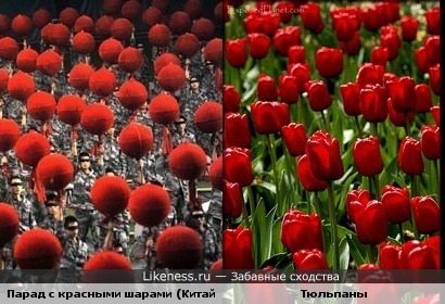 Парад с красными шарами (Китай) и Тюльпаны