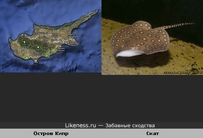 Остров Кипр похож на ската