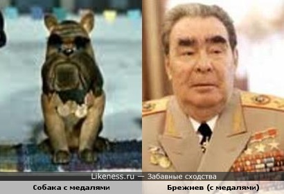 Собака с медалями из мультфильма &quot;Варежка&quot; похожа на Брежнева