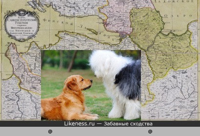Карта Санкт-Петербургской губернии напоминает двух собак