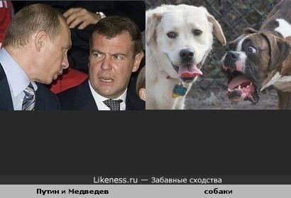 Владимир Путин и Дмитрий Медведев и две собаки