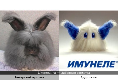 Ангорский кролик и персонаж Здоровье из рекламы Имунеле