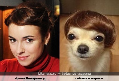 Ирена Понарошку и собачка в парике