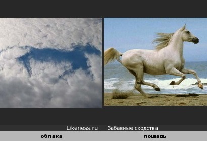 Облака — белогривые лошадки