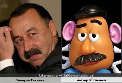 Валерий Газзаев похож на мистера Картошку
