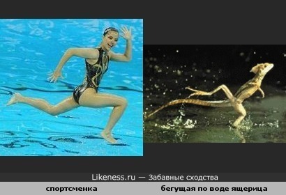 Спортсменка похожа на бегущую по воде ящерицу