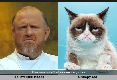 Константин Ивлев напоминает Grumpy Cat