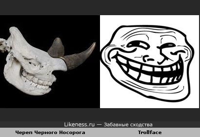 Череп Черного Носорога похож на Trollface