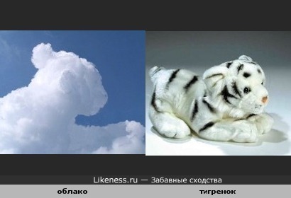 Облако похоже на тигренка