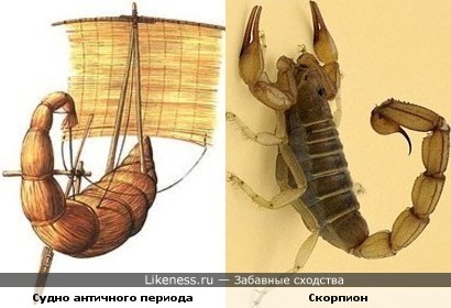 Судно античного периода похоже на скорпиона