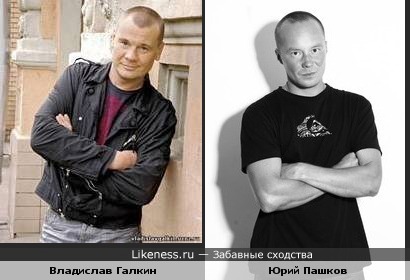 Юрий Пашков похож на Влада Галкина