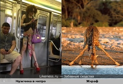 Мужчина в метро против жирафика
