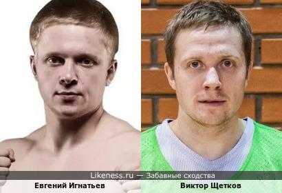 Евгений Игнатьев похож на Виктора Щеткова