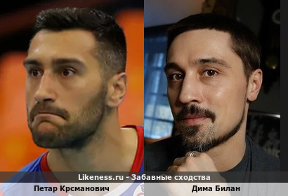Петар Крсманович похож на Диму Билана