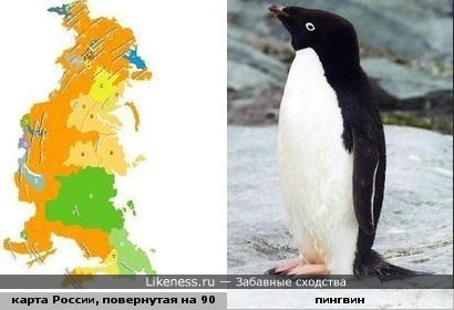 Карта России похожа на пингвина
