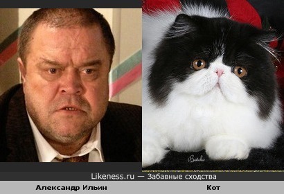 Александр Ильин - котяра еще та....