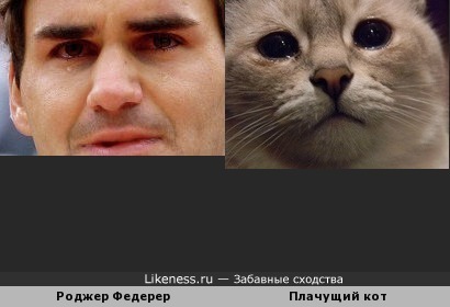 Роджер Федерер похож на плачущего котика