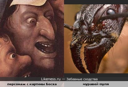 Зловещий персонаж Иеронима Босха и муравей