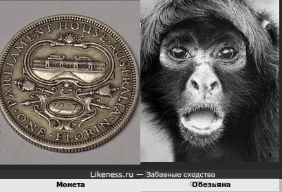 Монета напомнила мордочку обезьяны