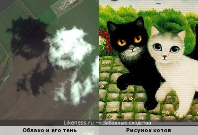 Облако и его тень на фото со спутника в Яндекс.Картах напоминают двух котят