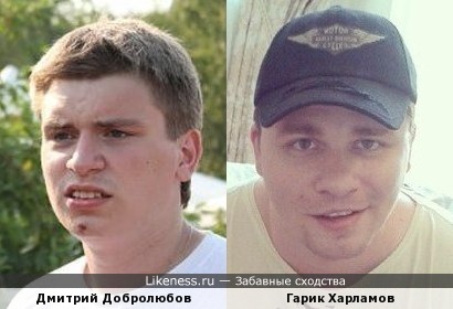 Дмитрий Добролюбов похож на Гарика Харламова