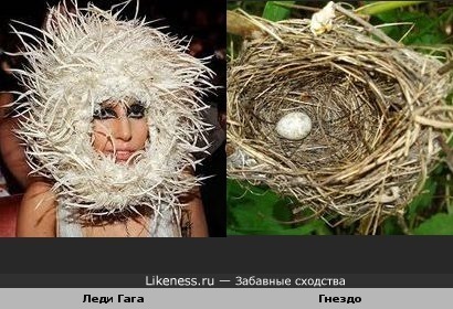 Головной убор у Леди Гага похож на гнездо