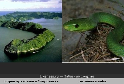 Остров архипелага Микронезия похож на змею