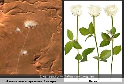 Аномалия в пустыне Сахара похожа на цветок