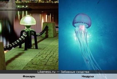 Фонарь напомнил мне медузу