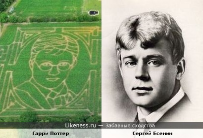 Рисунок Гарри Поттера на кукурузном поле похож на Сергея Есенина