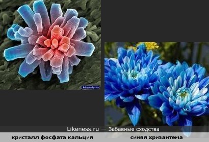 Кристалл фосфата кальция похож на цветок