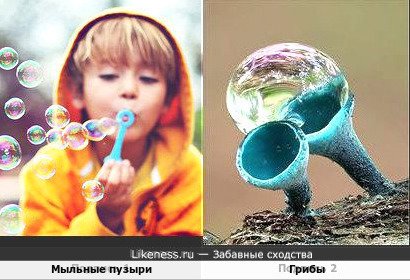 Мыльные пузыри умеют выдувать не только дети )