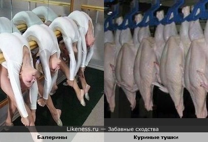 балерины и куриные тушки)))